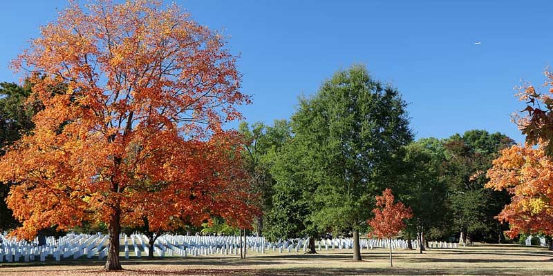 Cheapest season to visit in the USA