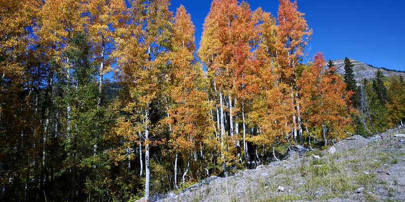Places to Visit in the USA